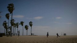 skaters skating and filming on pathway on beach with palm trees in background venice California skatepark Stock Footage