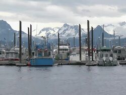 "Pleasure/leisure boats in Homer Boat Harbor, snow capped mountains of Kachemak Bay State Park and Wilderness Park in background, Homer Spit, Homer, Kenai Peninsula, Alaska." Stock Footage