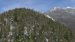Snow covers the ground beneath the conifers on Mount Lafayette. Stock Footage