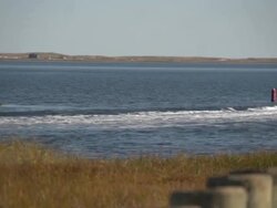 The Clam Man Fish Market exterior on Cape Cod Stock Footage