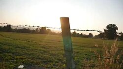 barbed wire Stock Footage