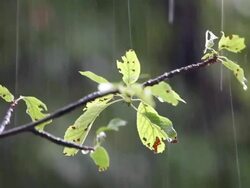 Rainy day Stock Footage