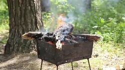 Firewood burning in the mangal for cooking barbecue. Stock Footage