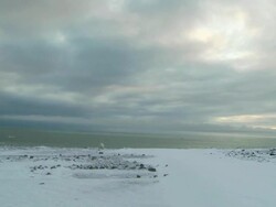 WS Shot of polar bear on edge of frozen shore with grey blue sky / Arviat, Nunavut, Canada Stock Footage