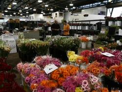 Sydney Flower Market Busy For Valentines Day Stock Footage