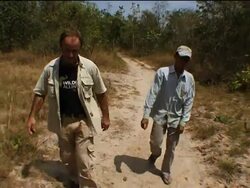 Primates under threat in Cambodia News Clip