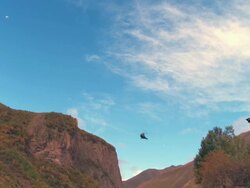 MS PAN Helicopter flying beside of truso valley mountains / Kazbegi, Georgia Stock Footage