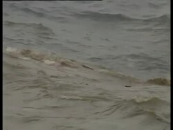 Oil slick and debris from Braer wreckage on sea, Shetland islands, UK, 1993. Stock Footage