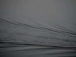Ripple in River Stock Footage