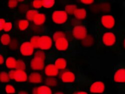 Blurred Blinking red  Lights Stock Footage