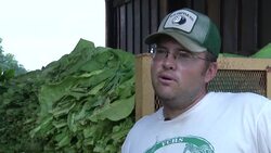 The South's tobacco country is surviving, and even thriving in some cases, as demand overseas keeps growers in the fields of one of America's oldest cash crops. (Sept. 16) News Clip