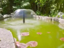 HD Motion Time-Lapse: Fountain In Fishpond Stock Footage