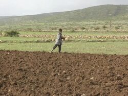 Man sowing seeds Stock Footage
