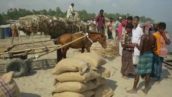 At a colourful monthly market families and traders converge by boat to barter sell and engage local produce and supplies in rural Bangladesh Stock Footage