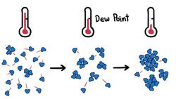 Rain's Dirty Little Secret Instructional Video