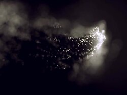 Particles Stock Footage