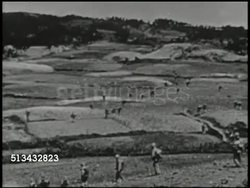 1945: PACIFIC FRONT: VS United States Marines, soldiers, crossing field, infantry moving down hill. World War II, WWII, Japan Instructional Video