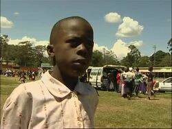 WRAP Food aid distributed to displaced, WFP, Red Cross News Clip