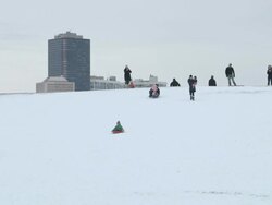WS People sledding in urban park Stock Footage
