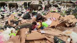 VOICED : Honduras, en vispera de las elecciones News Clip