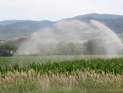 Watering cornfield Stock Footage