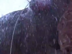 Low Angle hand-held tilt-down tilt-up zoom-out - A climber struggles as he rappels beneath a small waterfall / Arizona, USA Stock Footage