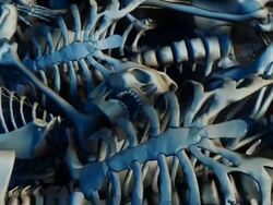 (Loop) Halloween, Field of humans skeletons Stock Footage