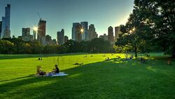 Central park at sunset with crowd of people New York City Stock Footage