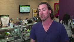 VOICED : El negocio del cannabis en EEUU vive incertidumbre con Trump News Clip