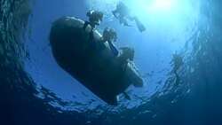 Under the zodiac Stock Footage