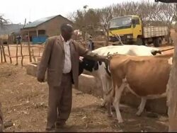 VOICED: Solar phone powers Kenyan telecoms revolution  News Clip