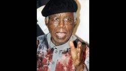 CELAN : Achebe father of modern African literature News Clip
