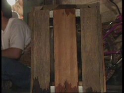 Indonesia - Orangutans rescued from fires News Clip