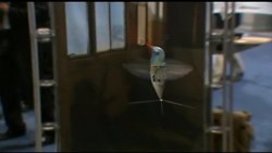 Military convention shows cutting edge robotics technology News Clip