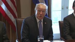 Trump Praises Greece as PM Visits White House News Clip