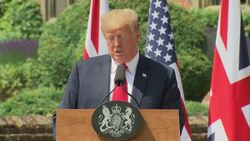 Trump: Relationship between US and UK is indispensable News Clip