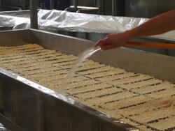 Cheese Curds Filled Into Moulds Stock Footage