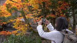 Woman using smartphone take photo Stock Footage