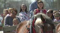 Families having horse drawn cart ride in Iowa News Clip