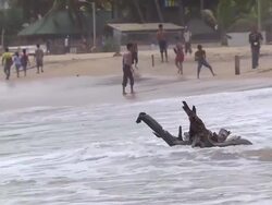 MS Tree part moving by wave and boys playing cricket at beach / Negombo, Sri Lanka Stock Footage