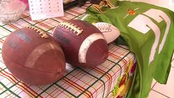 VOICED : American Football in Brazil has high hopes for WC2014 aftermath News Clip