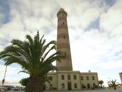 MS View of Lighthouse Hotel and square with palm tree / Aveiro, Portugal Stock Footage