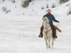 WS Cowgirl on horseback galloping through snow with a dog following along / Shell, Wyoming, United States Stock Footage