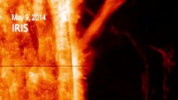 IRIS footage captures coronal mass ejection surging off side of sun News Clip