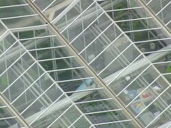 MS AERIAL Shot of Meridith College, Raleigh / North Carolina, United States Stock Footage