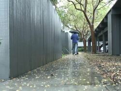 Winter Rain Walk Away Stock Footage