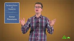 These Strawberries Aren't Red! Instructional Video