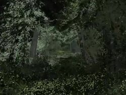 INFINITE ZOOM THROUGH MOUNTAIN FOREST, defocused selective perception. black background Stock Footage