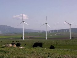 Wind turbines Stock Footage