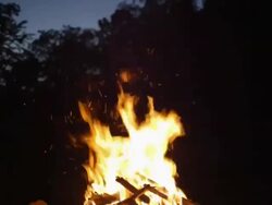 Campfire tilt up to sparks against sky Stock Footage